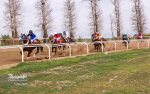 3 4 300x188 - هفته هجدهم مسابقات اسبدوانی گنبدکاووس با رقابت ۸۸ اسب آغاز شد+تصاویر