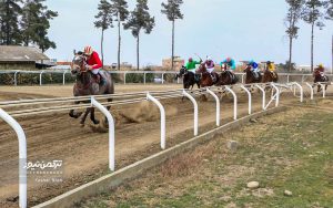 TN 1 k3 300x188 - هفته سیزدهم مسابقات اسبدوانی گنبدکاووس با رقابت ۶۳ اسب به خط پایان رسید