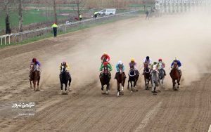 TN 3 28 300x188 - مسابقات اسبدوانی در هفته هجدهم با رقابت 80 اسب به خط پایان رسید+تصاویر