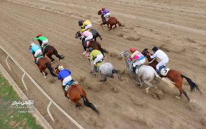 TN 5 13 300x188 - مسابقات اسبدوانی در هفته هجدهم با رقابت 80 اسب به خط پایان رسید+تصاویر