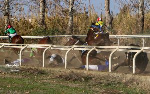 حادثه برخورد ۵ اسب در هفته نهم مسابقات اسبدوانی گنبدکاووس