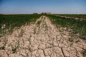 تخصیص ۲۴۲میلیارد تومان برای مدیریت خشکسالی در گلستان