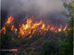 آتش سوزی جزیره میانکاله اطفا شد 300x225 - آتش سوزی جزیره میانکاله اطفا شد