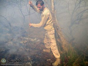 سوزی جنگل مینودشت ناجا 3 300x225 - آتش سوزی جنگلهای مینودشت مهار شد+تصاویر