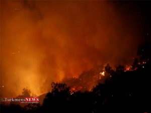 آتش سوزی در منطقه حفاظت شده میانکاله 300x225 - آتش سوزی در منطقه حفاظت شده میانکاله