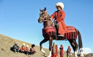 ترکمن 1 1 300x185 - ثبت جهانی اسب ترکمن با همکاری ایران و ترکمنستان