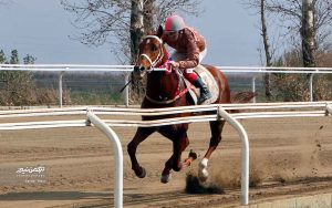 محمدی کورس اول هفته سیزدهم 300x188 - هفته سیزدهم مسابقات اسبدوانی گنبدکاووس با رقابت ۶۳ اسب به خط پایان رسید