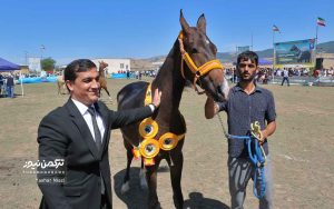 اسب صوفیان 16 300x188 - گزارش تصویری هفدهمین جشنواره ملی زیبایی اسب اصیل ترکمن در صوفیان شهرستان کلاله