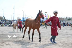 زیبایی اسب انبارالوم 7 300x199 - اسب‌های برتر جشنواره زیبایی اسب انبارالوم معرفی شد+تصاویر