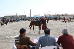 زیبایی اسب انبارالوم 9 300x199 - اسب‌های برتر جشنواره زیبایی اسب انبارالوم معرفی شد+تصاویر