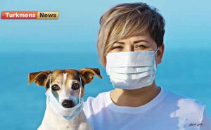 حیوانات کرونا 300x185 - حیوانات خانگی می توانند ناقل ویروس کرونا باشند