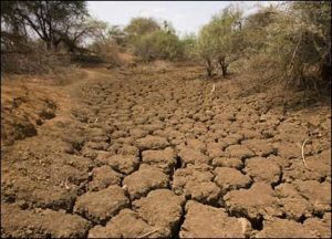 4 300x216 - خشکسالی بسیار شدید در گلستان