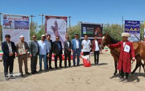 جشنواره زیبایی اسب انبار اولوم 16 300x188 - دومین جشنواره زیبایی اسب اصیل ترکمن در انباراولوم برگزار شد+تصاویر