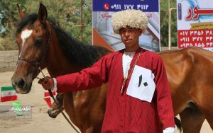 جشنواره زیبایی اسب انبار اولوم 17 300x188 - دومین جشنواره زیبایی اسب اصیل ترکمن در انباراولوم برگزار شد+تصاویر