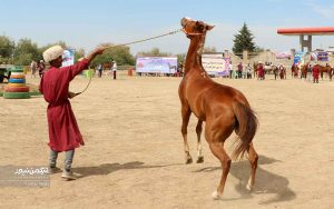 جشنواره زیبایی اسب انبار اولوم 26 300x188 - دومین جشنواره زیبایی اسب اصیل ترکمن در انباراولوم برگزار شد+تصاویر