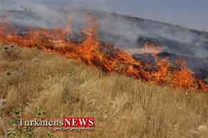 اراضی آق قلا 300x200 - سوختن 90 هکتار از اراضی کشاورزی آق قلا در آتش
