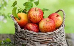 سلامت 300x188 - میوه ای که دشمن چربی خون و سرطان است