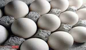 ازبکستان 300x177 - صادرات تخم مرغ نطفه دار به ازبکستان