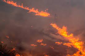 مراتع گلستان 1 - وقوع آتش سوزی در مراتع ترکمنستان