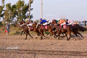 دوم اسبدوانی بندرترکمن 6 300x199 - رقابت 54 اسب در هفته دوم مسابقات اسبدوانی بهاره بندرترکمن+عکس