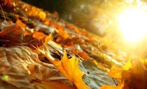 پاییز 300x181 - پاییز گرمی در انتظار ایران است