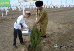 نهال ترکمنستان 300x209 - کاشت 3 میلیون اصله نهال در ترکمنستان در نخستین روز نوروز
