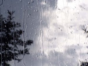 16182897996248 300x225 - کاهش 39 درصدی بارندگی در خرداد ماه سالجاری استان گلستان