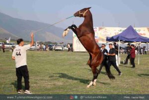 دومین جشنواره زیبایی اسب اصیل ترکمن آق قامیش بخش لوه - شهرستان گالیکش
