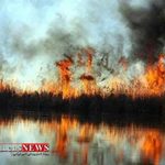 Alagol 13F 150x150 - تالاب بین المللی آلاگل در آتش سوخت