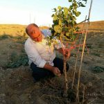 Arazi 21 Sh 150x150 - اراضی کم‌بازده گنبدکاووس مستعد کشت گیاهان دارویی و توسعه باغات