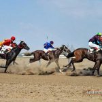 Asbdavani 23 Sh 150x150 - رقابت ۵۳ راس اسب در هفته دوازدهم کورس تابستانه بندرترکمن