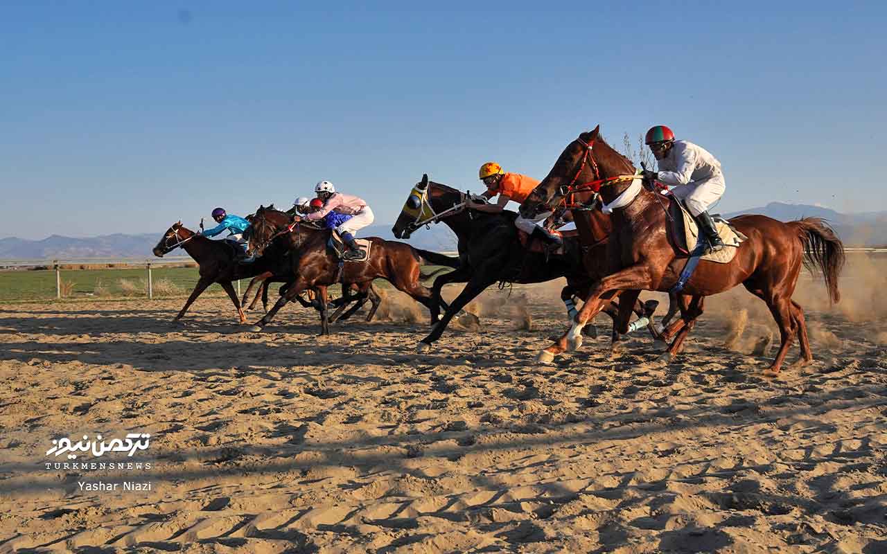 هفته سیزدهم مسابقات اسبدوانی گنبدکاووس با رقابت 74 اسب آغاز شد+تصاویر