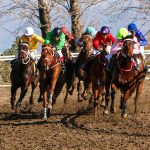 هفته چهاردهم مسابقات اسبدوانی گنبدکاووس با رژه اسب‌ها به مناسبت ۲۲ بهمن همراه شد+ تصاویر