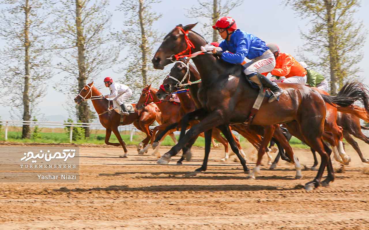 هفته قهرمانی مسابقات اسبدوانی بهاره گنبدکاووس با رقابت 73 اسب به خط پایان رسید+ تصاویر