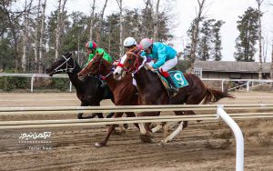 TN 2 k3 300x188 - هفته سیزدهم مسابقات اسبدوانی گنبدکاووس با رقابت ۶۳ اسب به خط پایان رسید