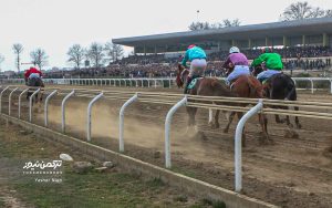 TN 3 k3 300x188 - هفته سیزدهم مسابقات اسبدوانی گنبدکاووس با رقابت ۶۳ اسب به خط پایان رسید