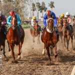TN 5 1 2 150x150 - هفته بیست و سوم مسابقات اسبدوانی بهاره گنبدکاووس با رقابت 67 راس اسب به خط پایان رسید
