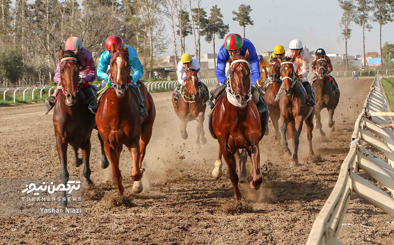 هفته بیست و سوم مسابقات اسبدوانی بهاره گنبدکاووس با رقابت ۶۷ راس اسب به خط پایان رسید