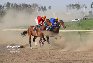 TN 5 5 2 300x202 - رقابت 78 اسب در آغاز هفته بیست و یکم مسابقات اسبدوانی بهاره گنبدکاووس+عکس