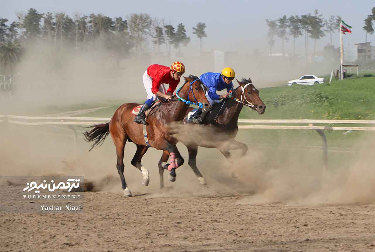 رقابت ۶۹ راس اسب در آغاز هفته بیست و سوم مسابقات اسبدوانی بهاره گنبدکاووس+عکس