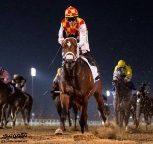 asb irnai dobei 300x283 - قهرمانی اسب ایرانی در میدان سوارکاری دوبی