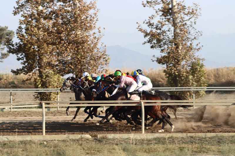 هفته سوم مسابقات اسبدوانی پاییزه گنبدکاووس با قهرمانی 7 اسب به خط پایان رسید
