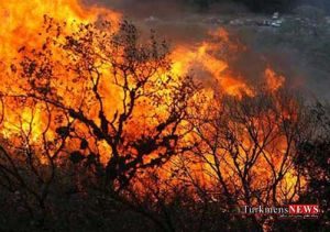 atash 29m 300x211 - آتش در جنگل قرق گرگان مهار شد
