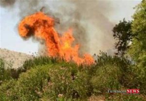 atashsoozi 3sh 300x209 - مرگ چوپان 15 ساله در آتش سوزی اراضی مرتعی و جنگلی گالیکش