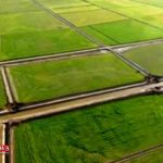 کشاورزان مرزنشین گلستان به زهکشی زمین ها امید بسته اند