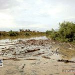 gharesoo 4m 150x150 - رودخانه قره سو در غرب گلستان لبریز از آب شد