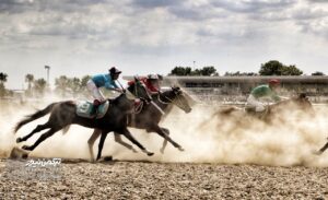 h 9 3 300x183 - هفته نهم مسابقات اسبدوانی تابستانه گنبدکاووس با قهرمانی 7 اسب خاتمه یافت/کمال دالیجه عطا بهترین چابکسوار شد