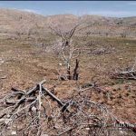 khoshksali 5sh 150x150 - وقوع خشکسالی های بسیار شدید در استان گلستان