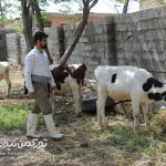 بهره‌برداری 2هزار طرح اشتغالزایی بنیاد برکت در استان گلستان