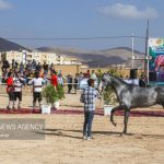 resized 973836 664 150x150 - همایش ملی سیلمی‌های ترکمن برگزار شد+ تصاویر